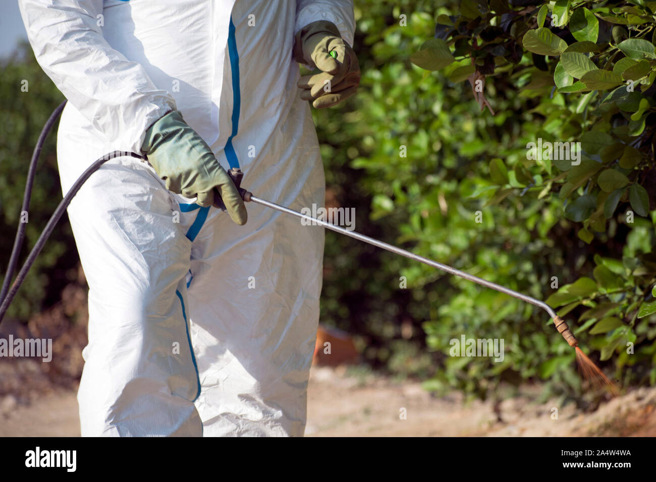 Weed control spray fumigation. Industrial chemical agriculture. Man