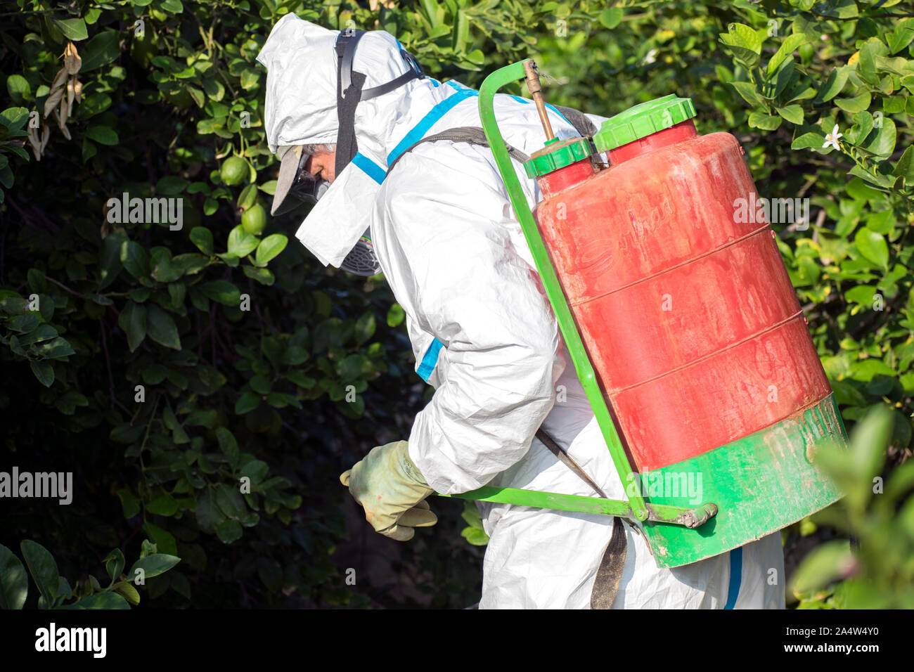 Weed control spray fumigation. Industrial chemical agriculture. Man