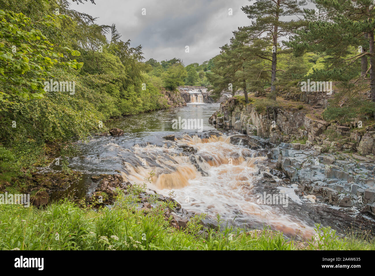 Summer Solstice 2019 at Low Force Waterfall, Upper Teesdale, UK Stock Photo