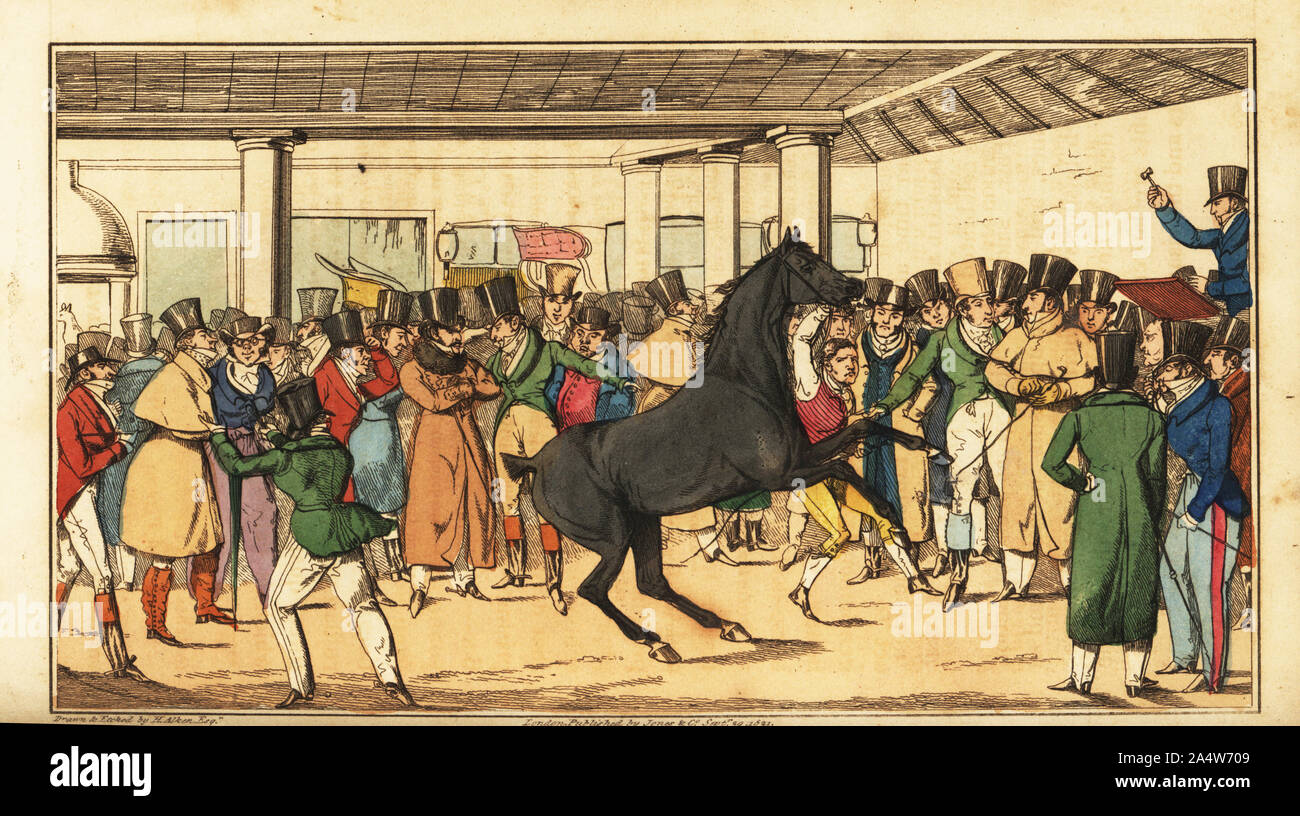Regency gentlemen looking at horses at Tattersall’s horse auctioneers. Gentlemen, gamblers and jockeys in top hats and coats. Tattersals. Tom and Bob looking out for a good one among the deep ones. Handcoloured copperplate engraving after an illustration by Henry Alken from Real Life in London, or, the Further Rambles and Adventures of Bob Tallyho, Esq. and His Cousin The Hon. Tom Dashall, through the Metropolis, Jones, London 1821. Anonymous imitation of Pierce Egan’s Life in London. Stock Photo
