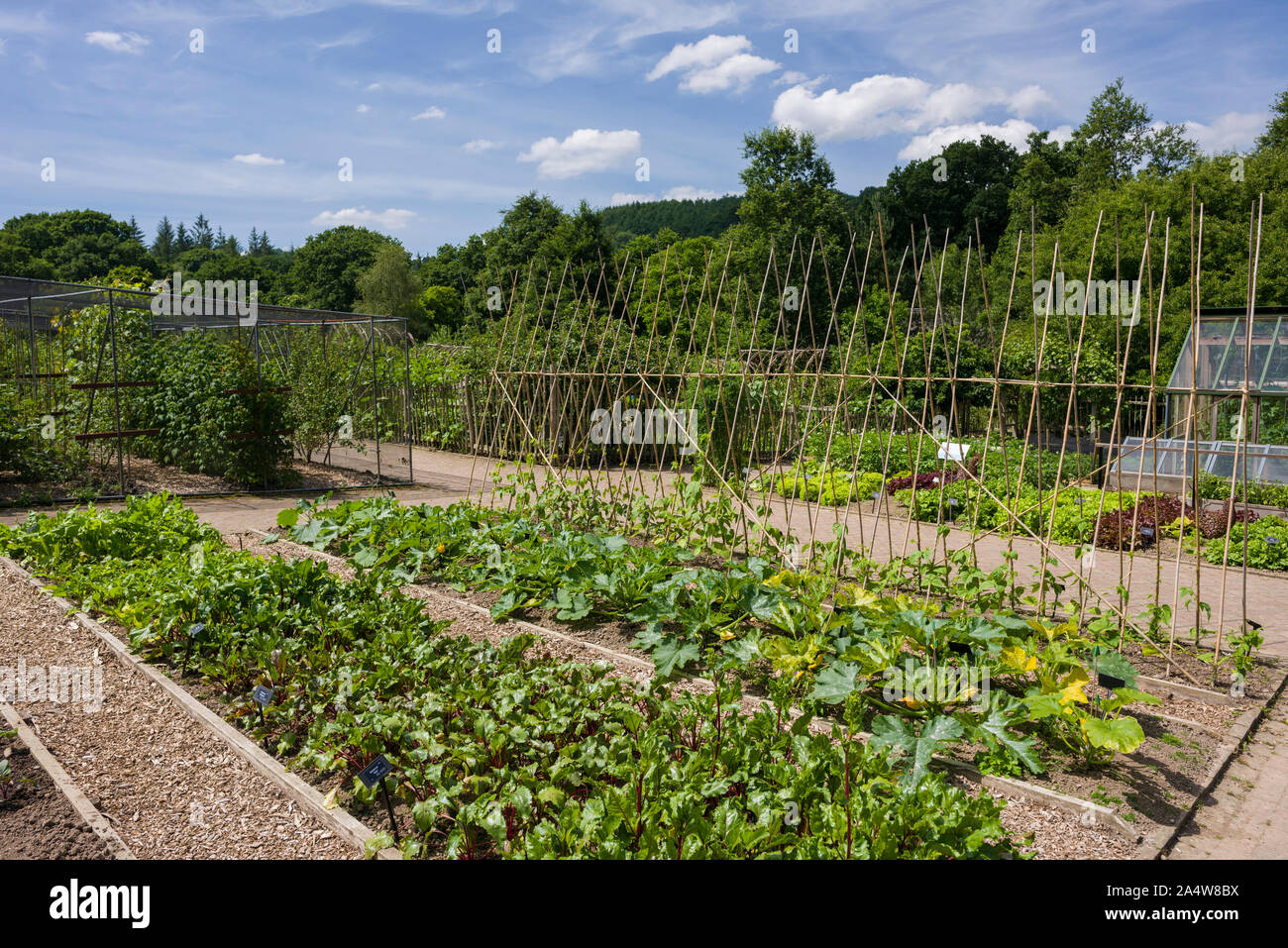 English country vegetable garden hires stock photography and images