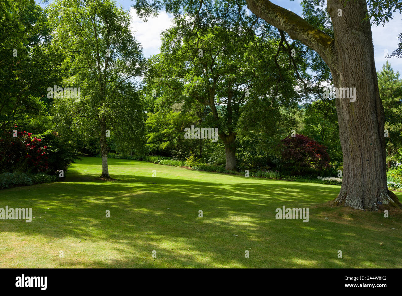 RHS Rosemoor garden in summer near Great Torrington, Devon, England. Stock Photo