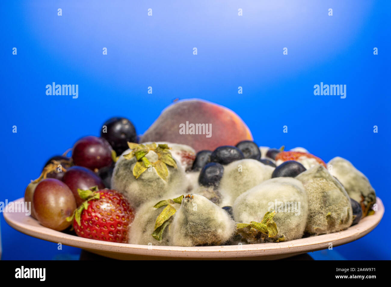 Fruits and berries in a cup rotted and moldy Stock Photo