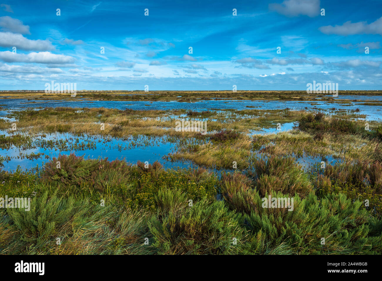 Morston salt Marshes seen from the Blakeney to Morston coastal path. Norfolk, England, UK. Stock Photo