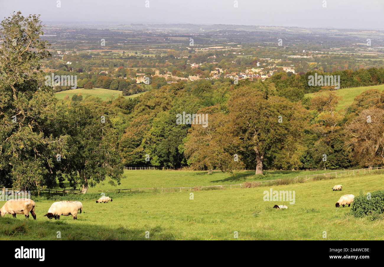 A Rural Landscape in the Cotswold Hills in England with grazing sheep and the village of Broadway in the distance Stock Photo
