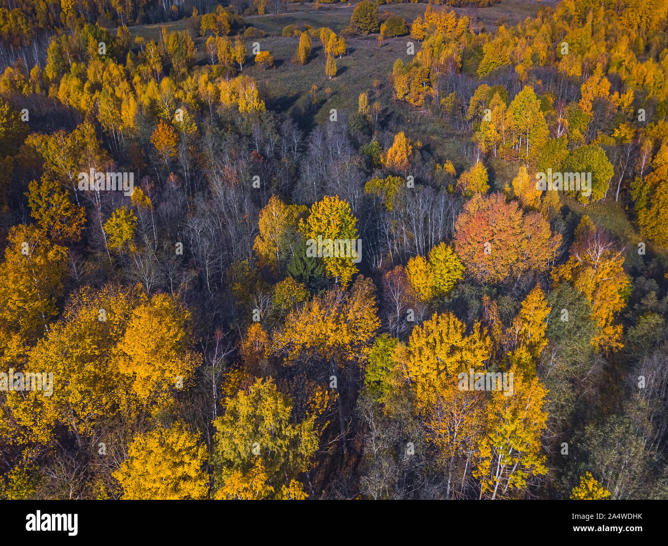 Aerial top view flight yellow hi-res stock photography and images - Alamy