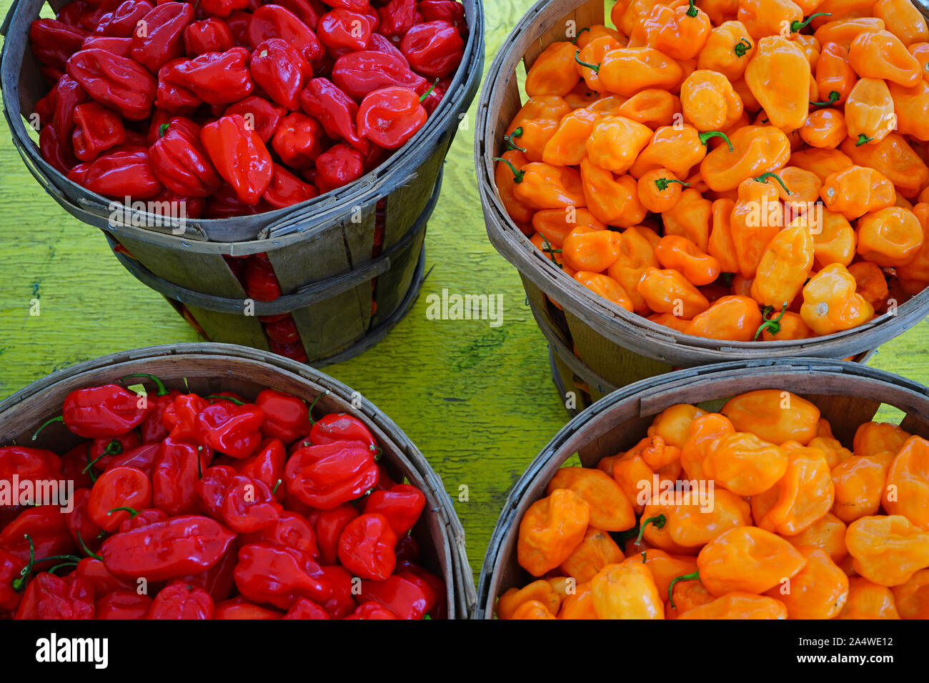 Baskets of colorful peppers at a summer farmers market Stock Photo - Alamy