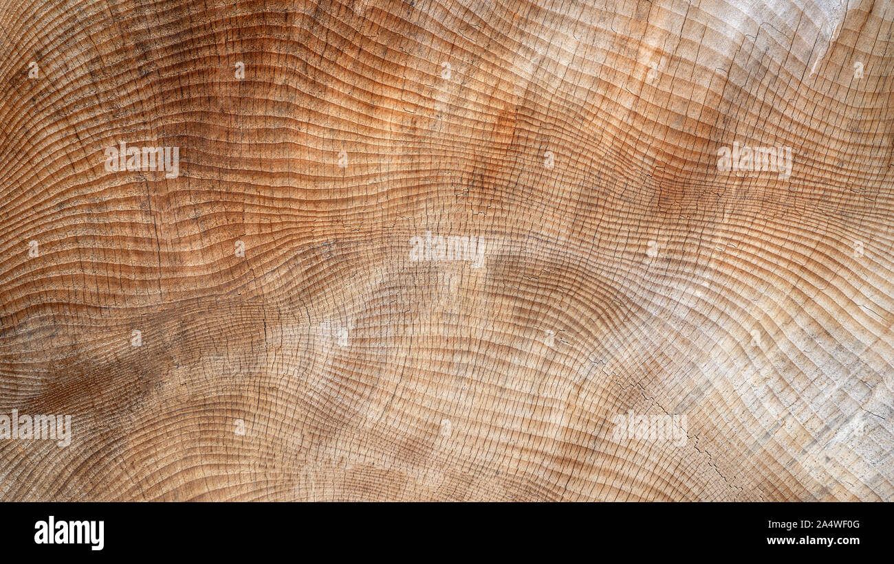 Abstract, slightly cracked texture in wood Stock Photo