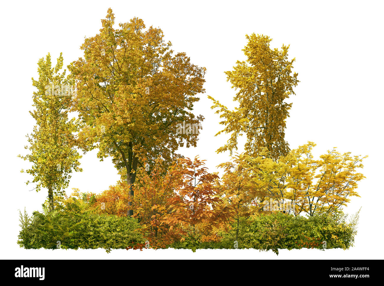 Cutout tree line. Trees in autumn isolated on white background. Colorful forest in fall. High quality clipping mask for professional composition. Stock Photo