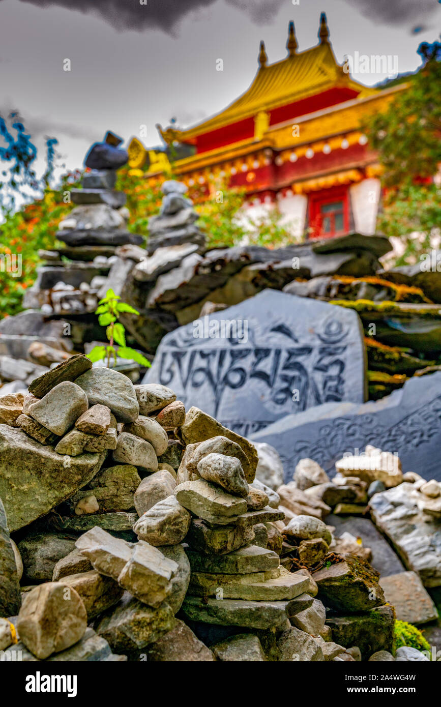 Ancient Tibetan Text Engraved on Slabs of Stone Scattered Over the Grass-Covered Lands of Yading Natural Conservation Area of Sichuan, China Stock Photo