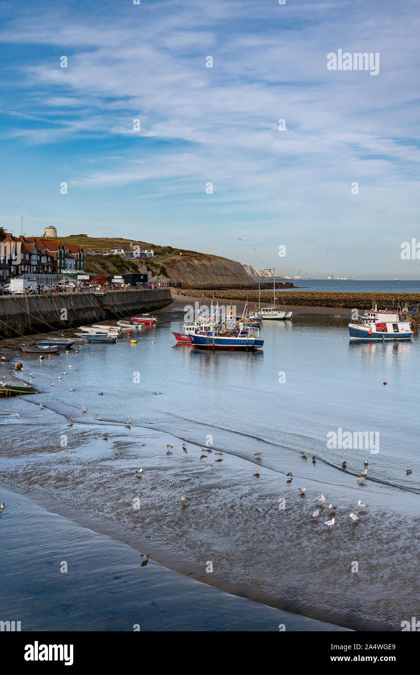Folkestone harbour. With fishing boats, yachts, little boats and speed