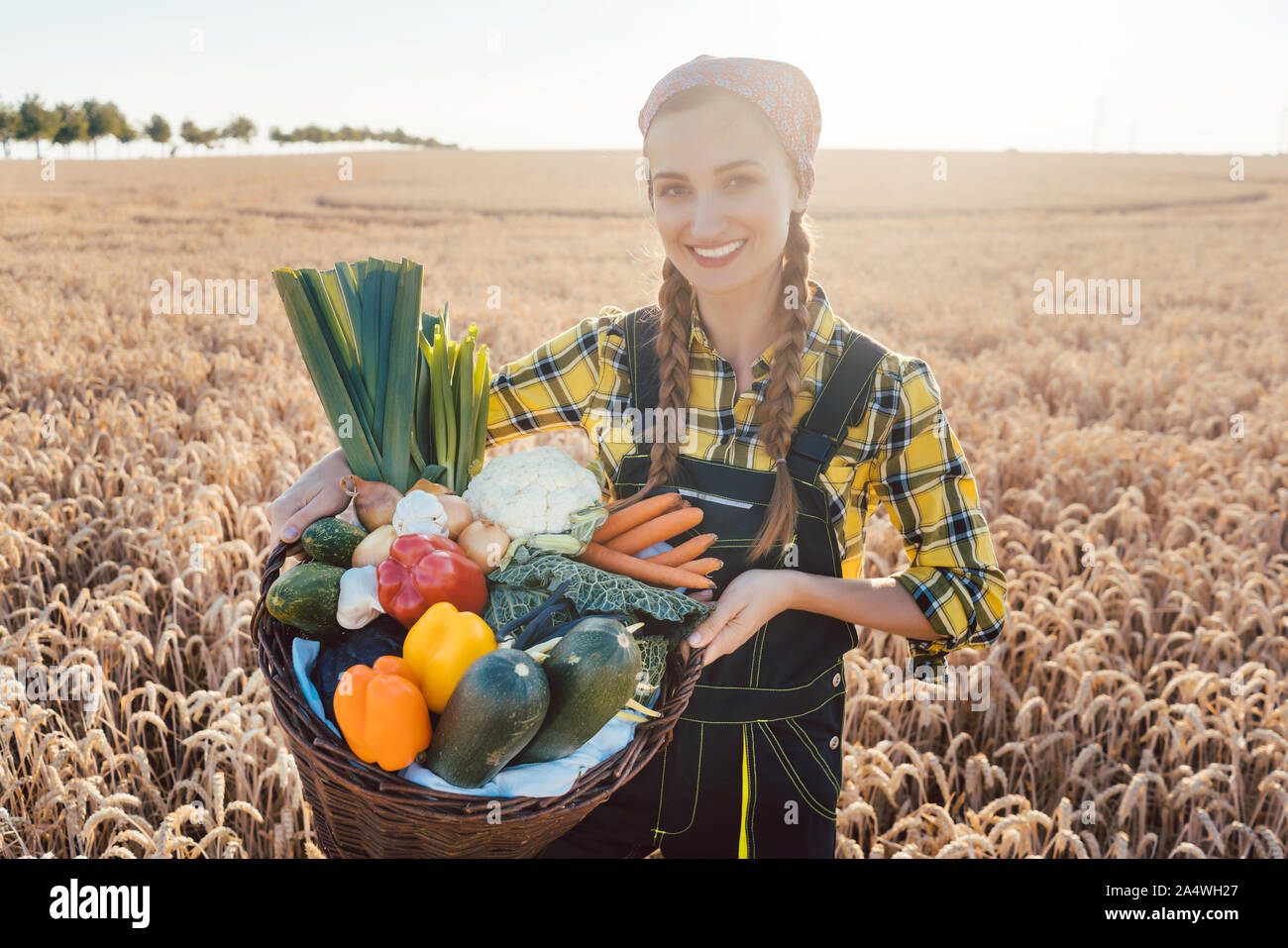 Harvest time in the country, woman farmer offering vegetables Stock ...