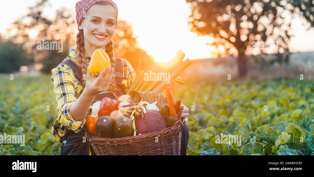 Woman holding basket vegetables summer hi-res stock photography and ...