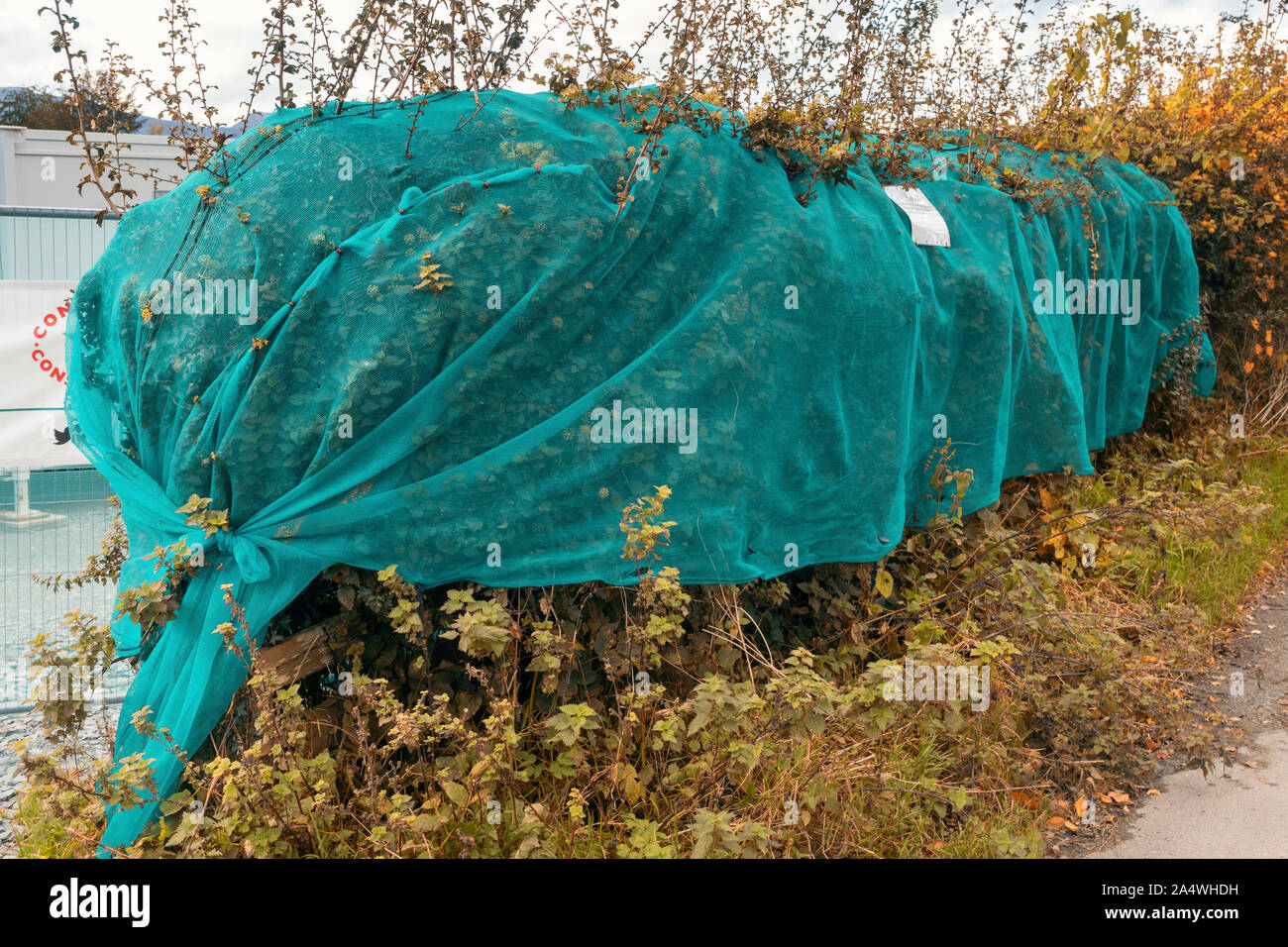 Bird netting or antibird netting is a form of bird pest control. It is