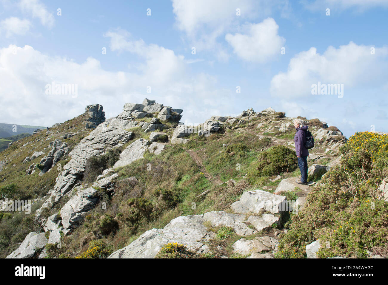 woman hiker walking along ridge in The Valley of Rocks toward Castle Rock, Devon, Exmoor Stock Photo