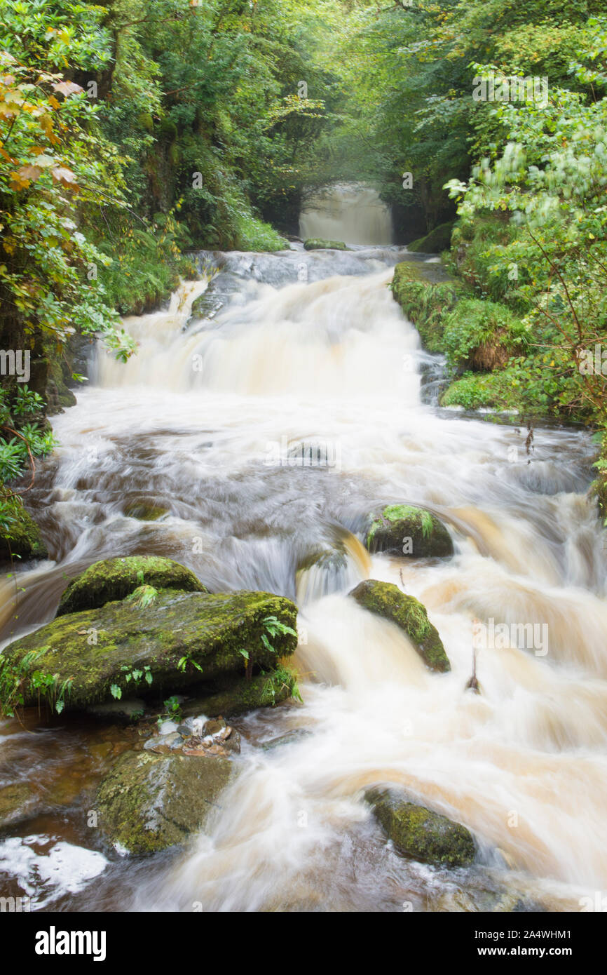 Waterfalls on Hoar Oak Water at Watersmeet after heavy rain,  Lynmouth, Devon, Exmoor Stock Photo