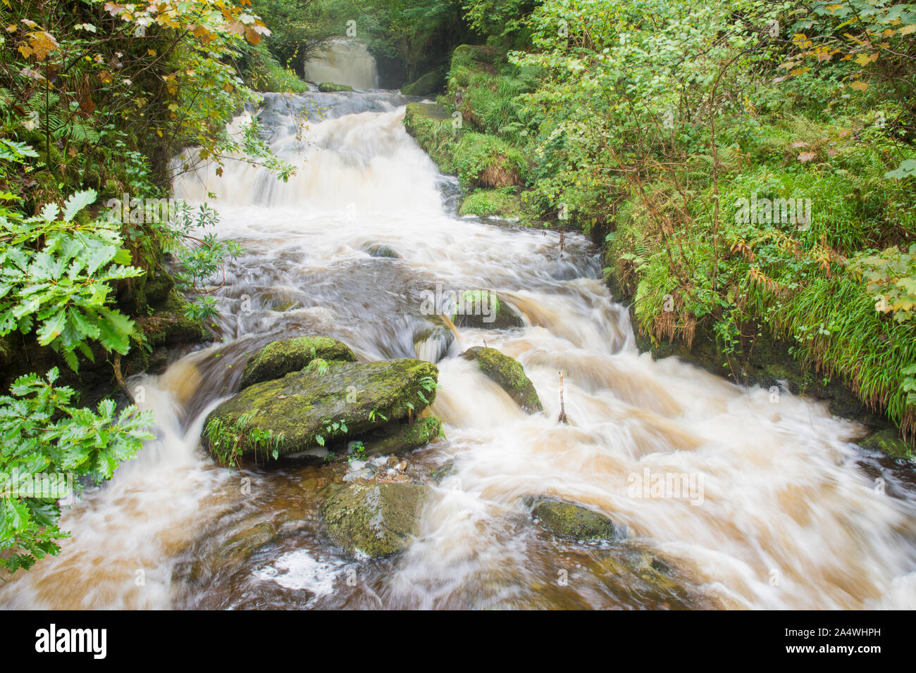 Waterfalls on Hoar Oak Water at Watersmeet after heavy rain,  Lynmouth, Devon, Exmoor Stock Photo