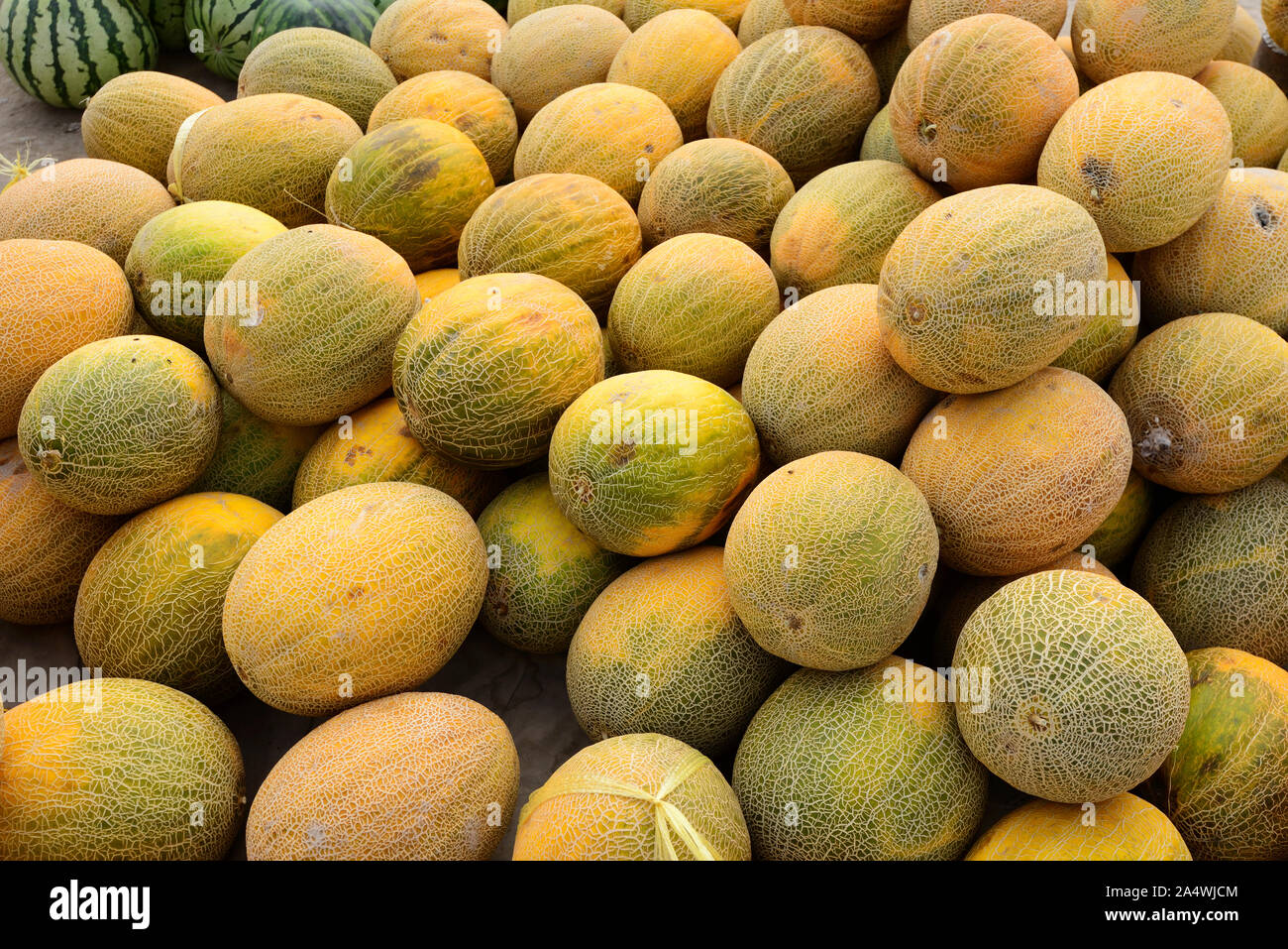 Uzbekistan melon hires stock photography and images Alamy