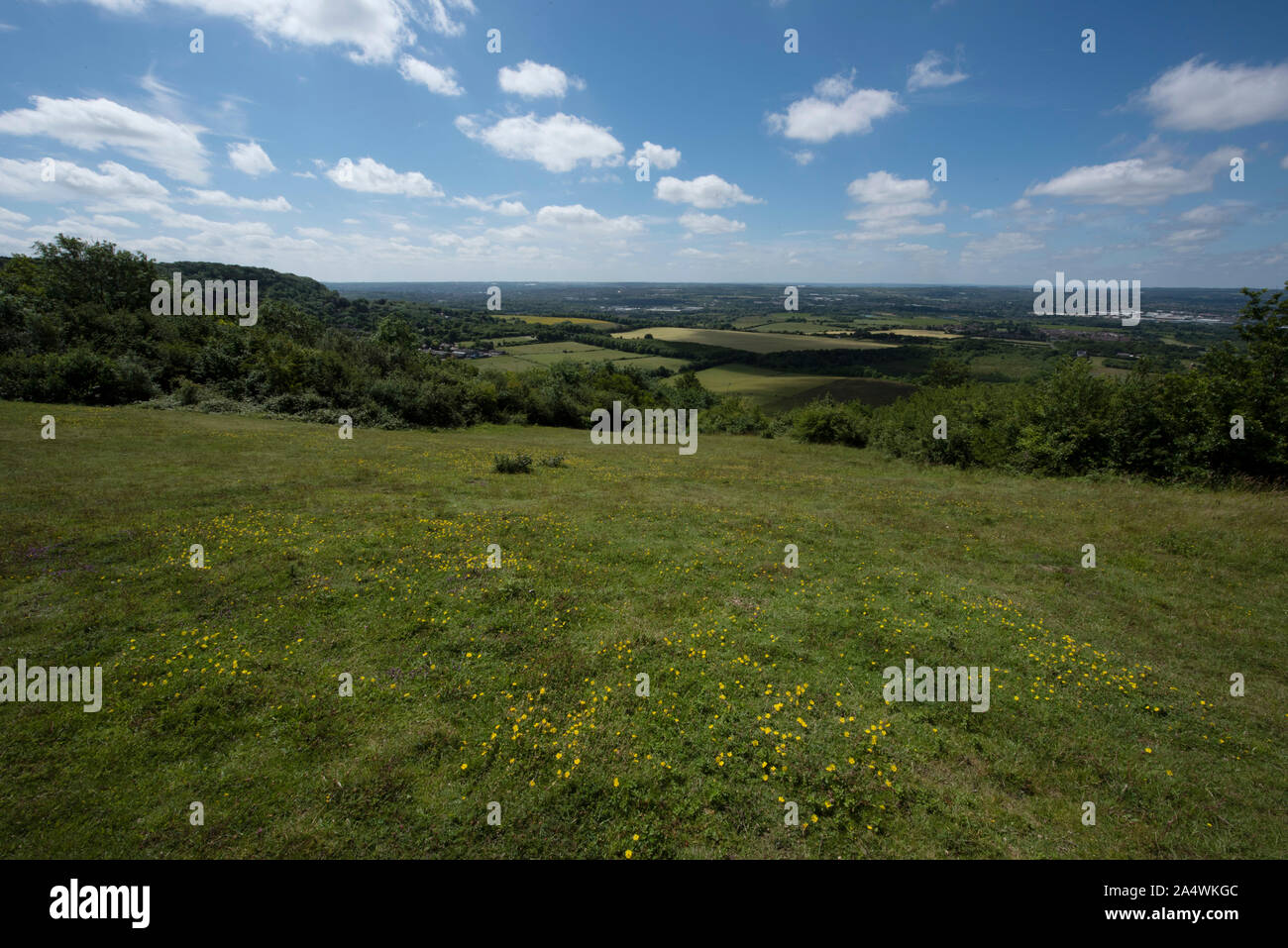 Bluebell Hill High Resolution Stock Photography and Images Alamy
