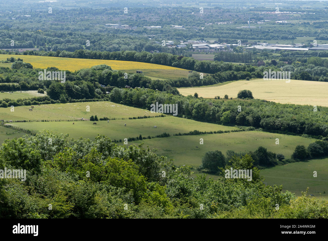 Bluebell hill hires stock photography and images Alamy