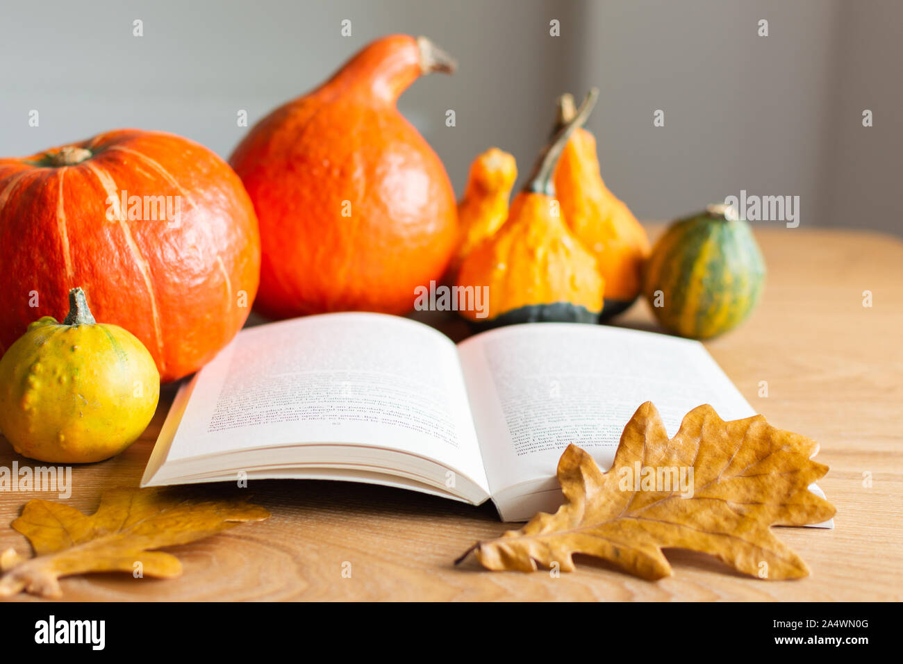 Autumn background with open book and orange pumpkins with leaves Stock ...