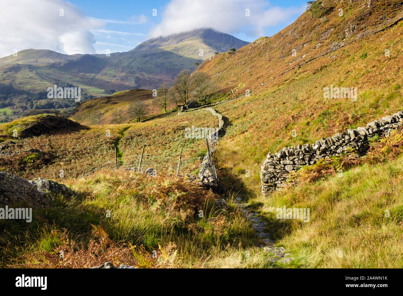 View along stone wall to Moel Hebog with low cloud from footpath above Nant Gwynant in hills of Snowdonia National Park in autumn. north Wales, UK Stock Photo