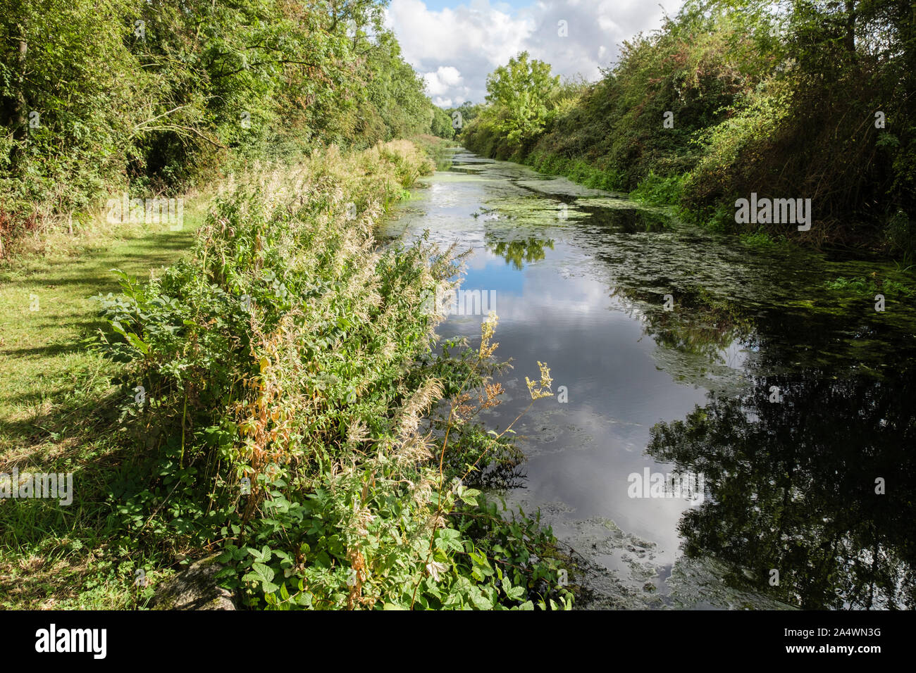 View along overgrown disused section of Grantham Canal and towpath. Stenwith, Grantham, Lincolnshire, England, UK, Britain Stock Photo