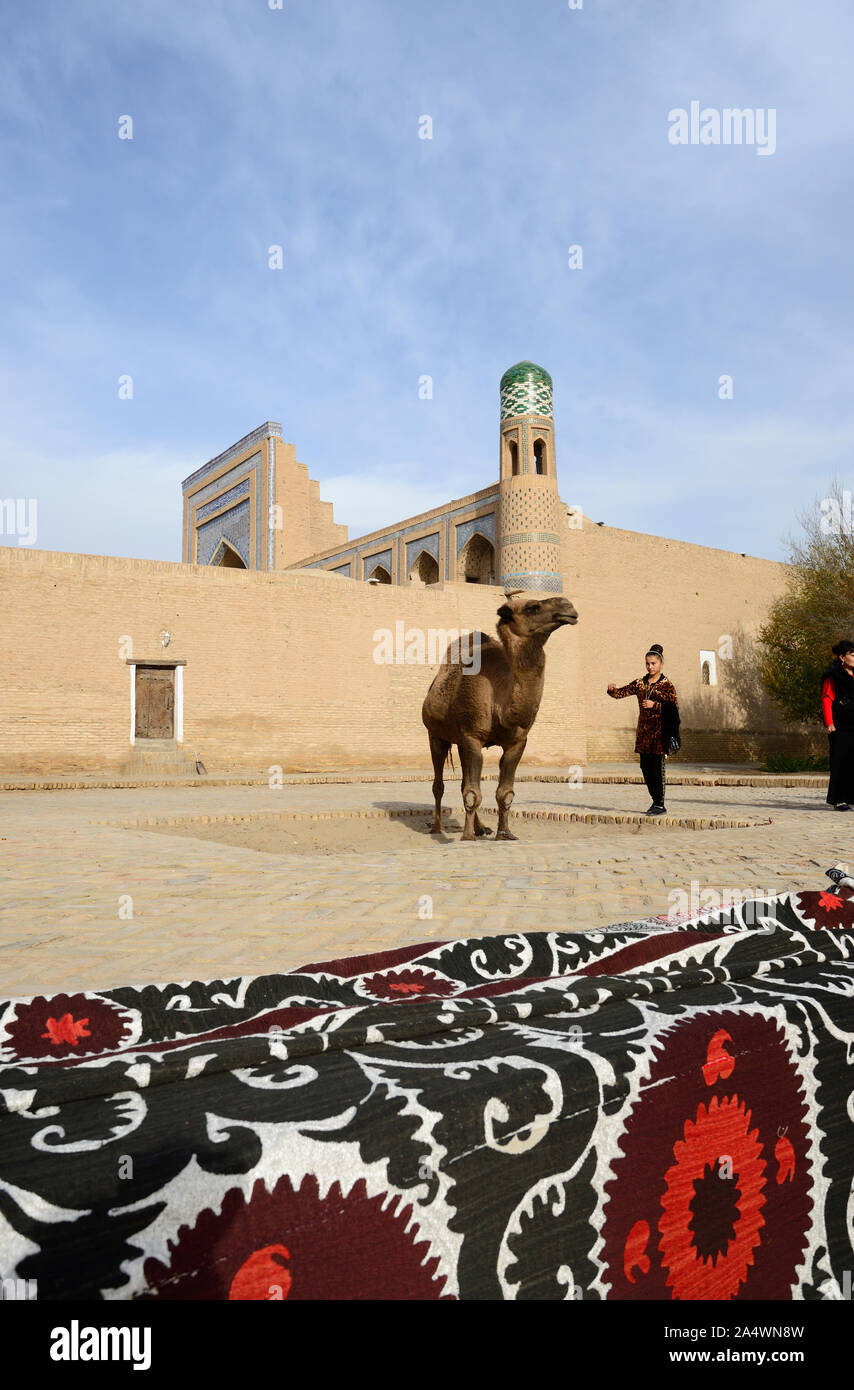 A nice dromedary. Khiva, Uzbekistan Stock Photo