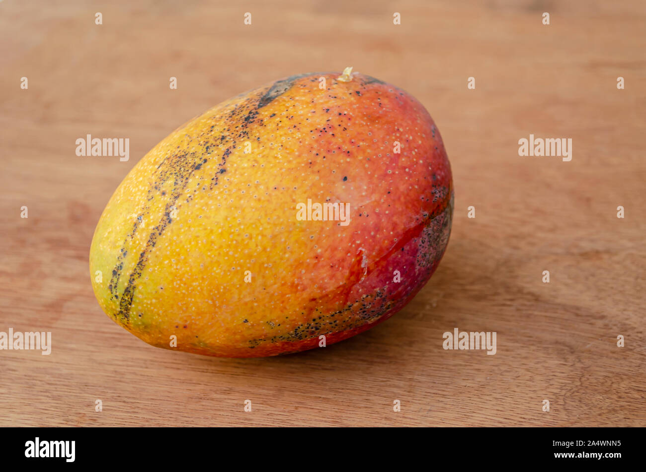 Isolated Ripe Julie Mango Stock Photo Alamy