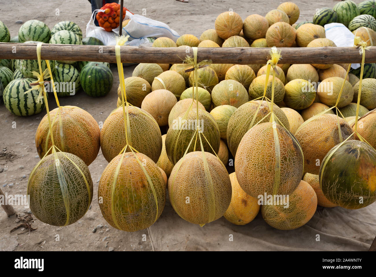 Uzbekistan melon hires stock photography and images Alamy
