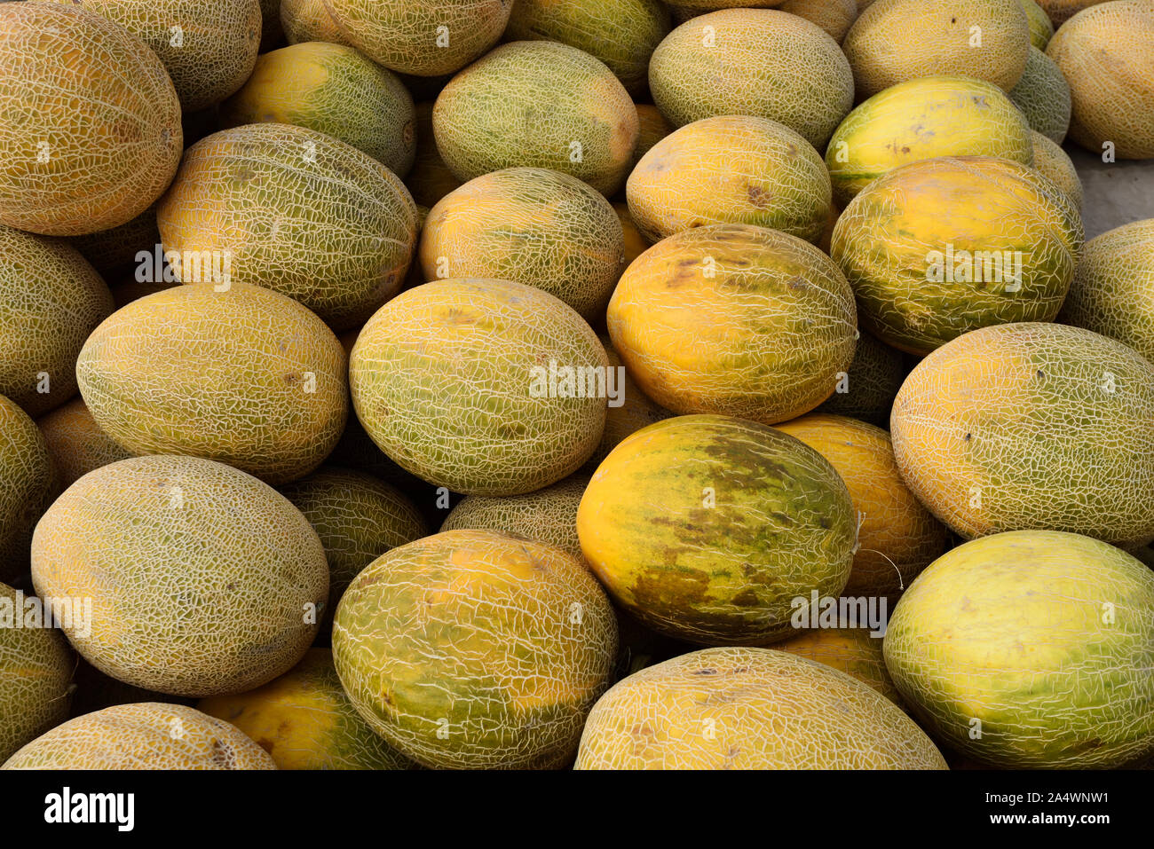 Uzbekistan melon hires stock photography and images Alamy