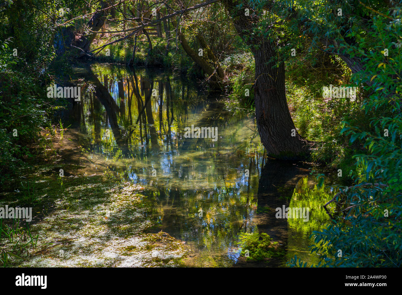 River and reflections on water. Stock Photo