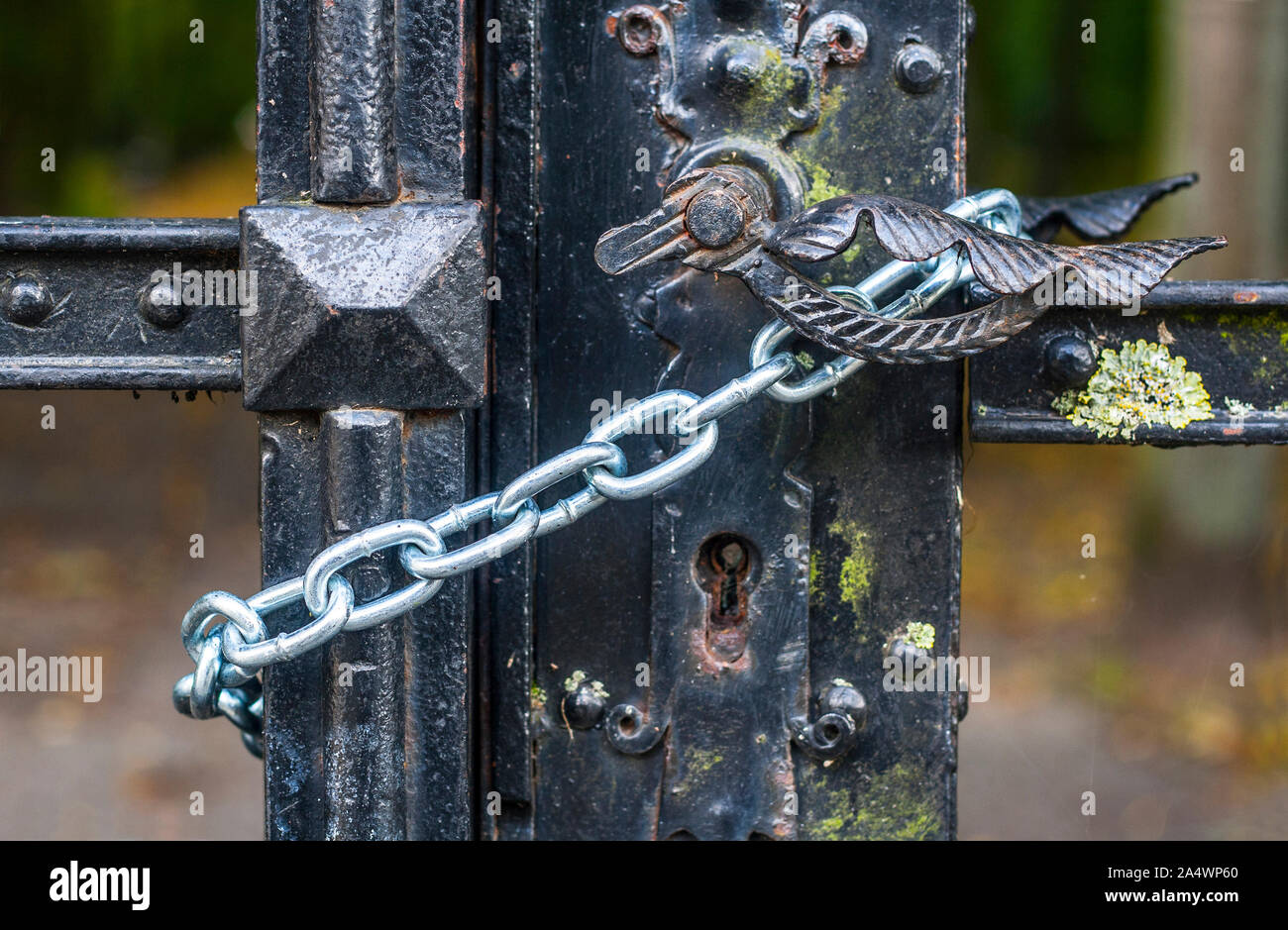 Handle and lock of very old cast iron gate locked with chain Stock Photo