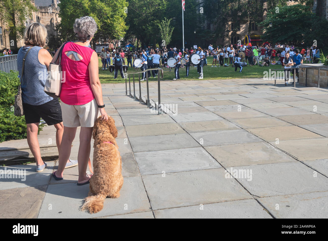 The yale precision marching band hires stock photography and images