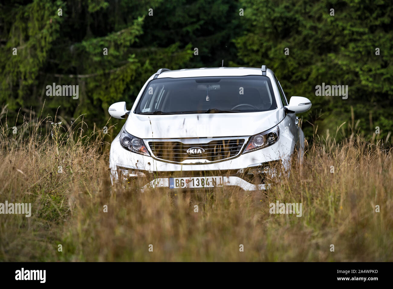Kia Sportage 2.0 CRDI awd or 4x4, white color,  crossing a deep grass on country road,  AWD tehnology helps in this off road action. Stock Photo
