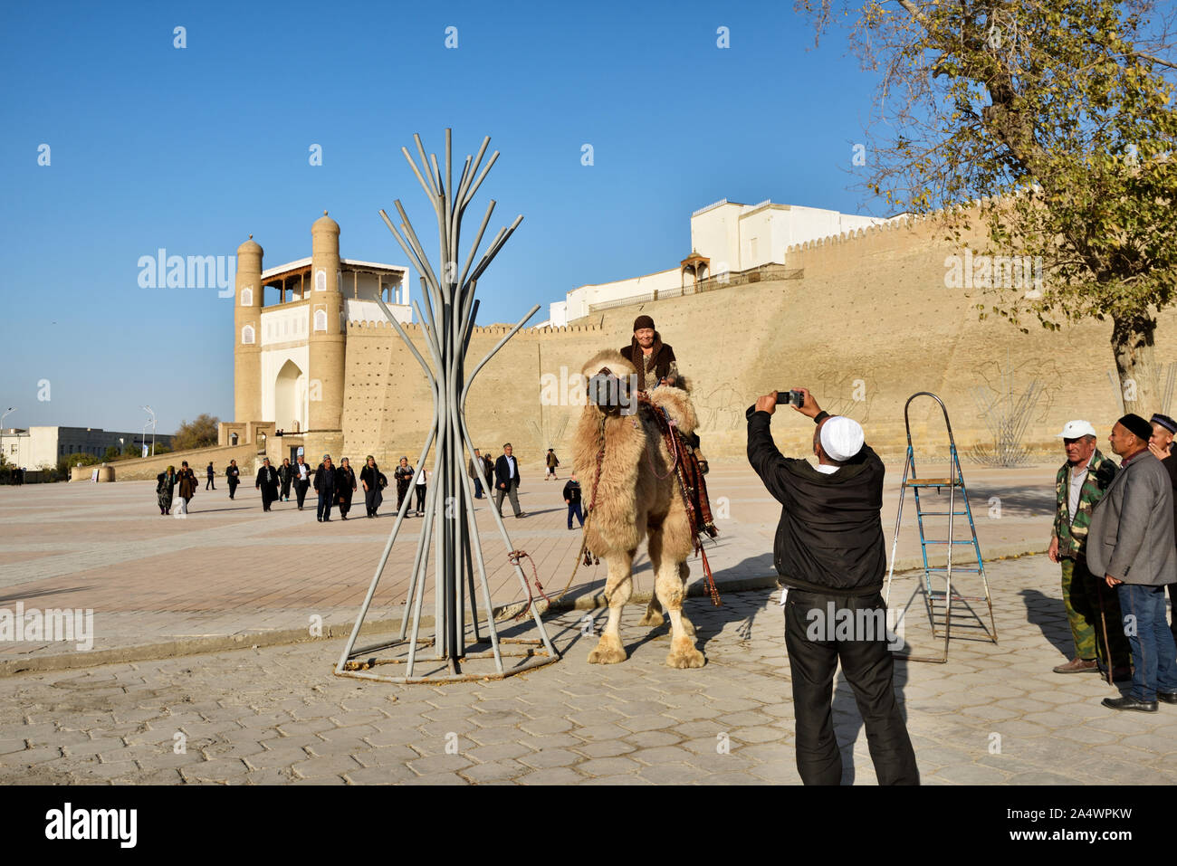 A nice camel to have a picture taken with. Ark fortress. Bukhara, a UNESCO World Heritage Site. Uzbekistan Stock Photo