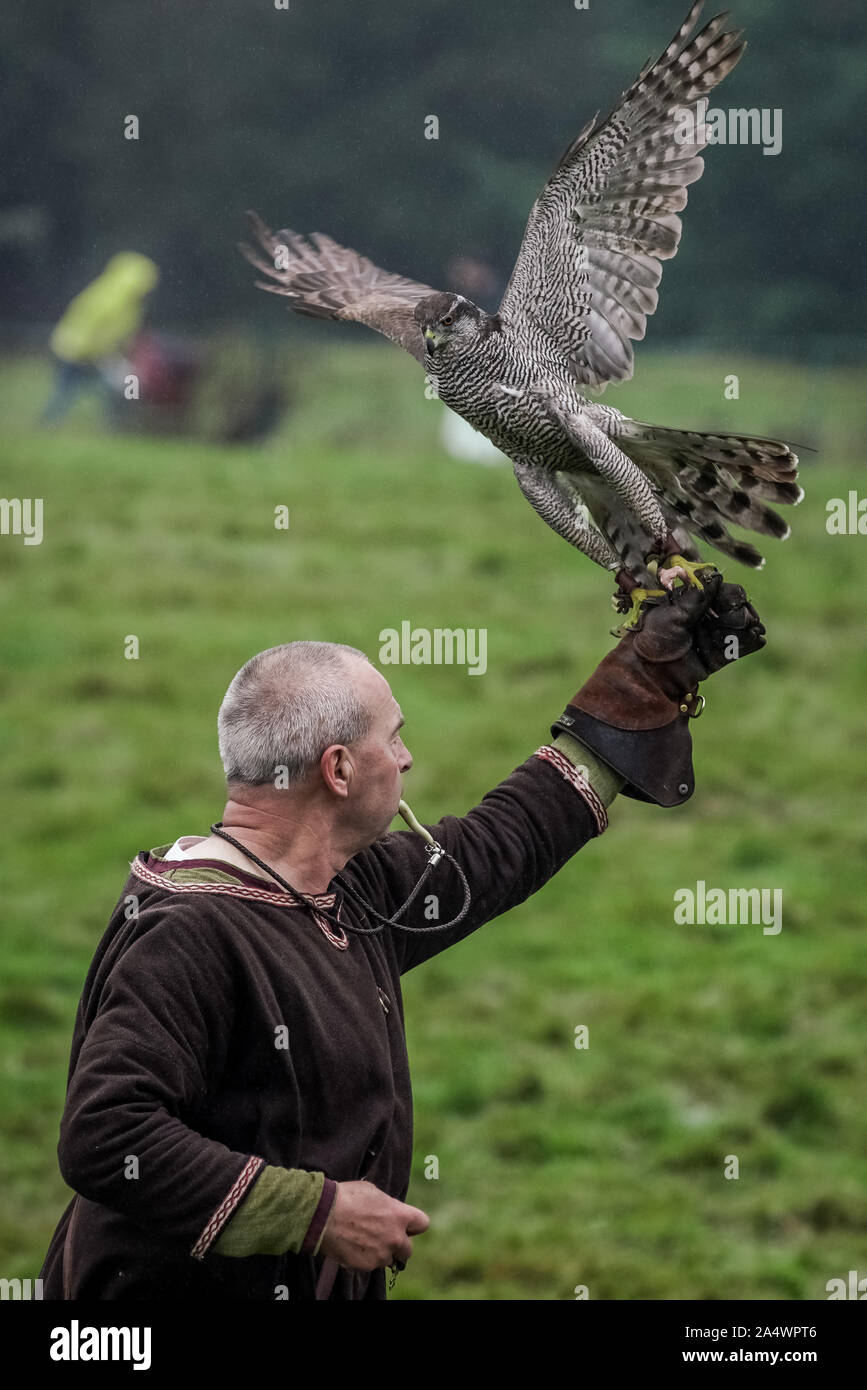 Medieval Falconry High Resolution Stock Photography and Images Alamy