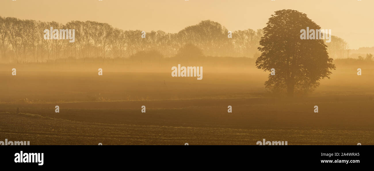 Rural landscape with trees hi-res stock photography and images - Alamy
