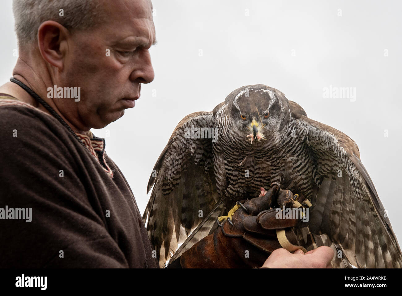 Medieval Falconry High Resolution Stock Photography and Images - Alamy