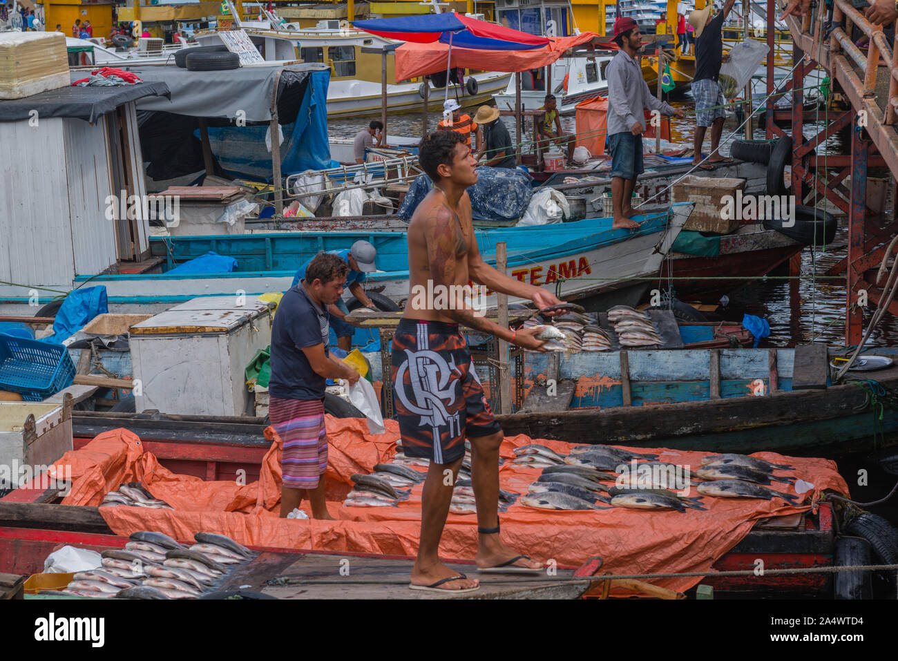 The fishing habor in Porto Flutante or Floating Habour, open fishing boats with owners selling fresh fish, Manaus, The Amazon, Brazil, Latin America Stock Photo