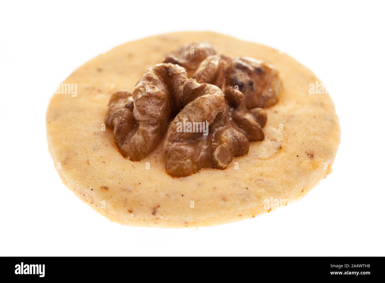 christmas cookies: Walnut Taler from the front on a white background Stock Photo