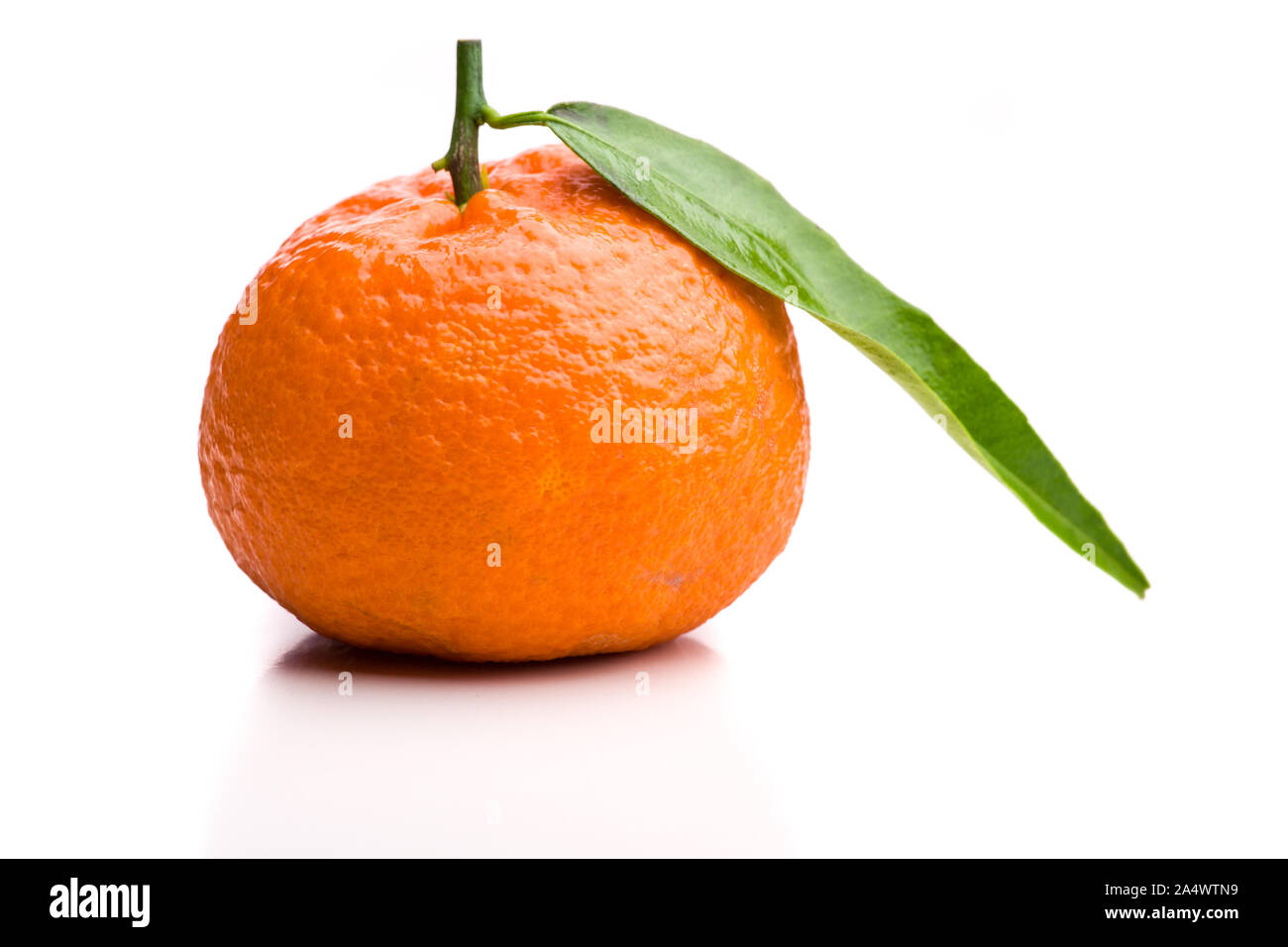 Single whole mandarin with stalk and leaf Stock Photo