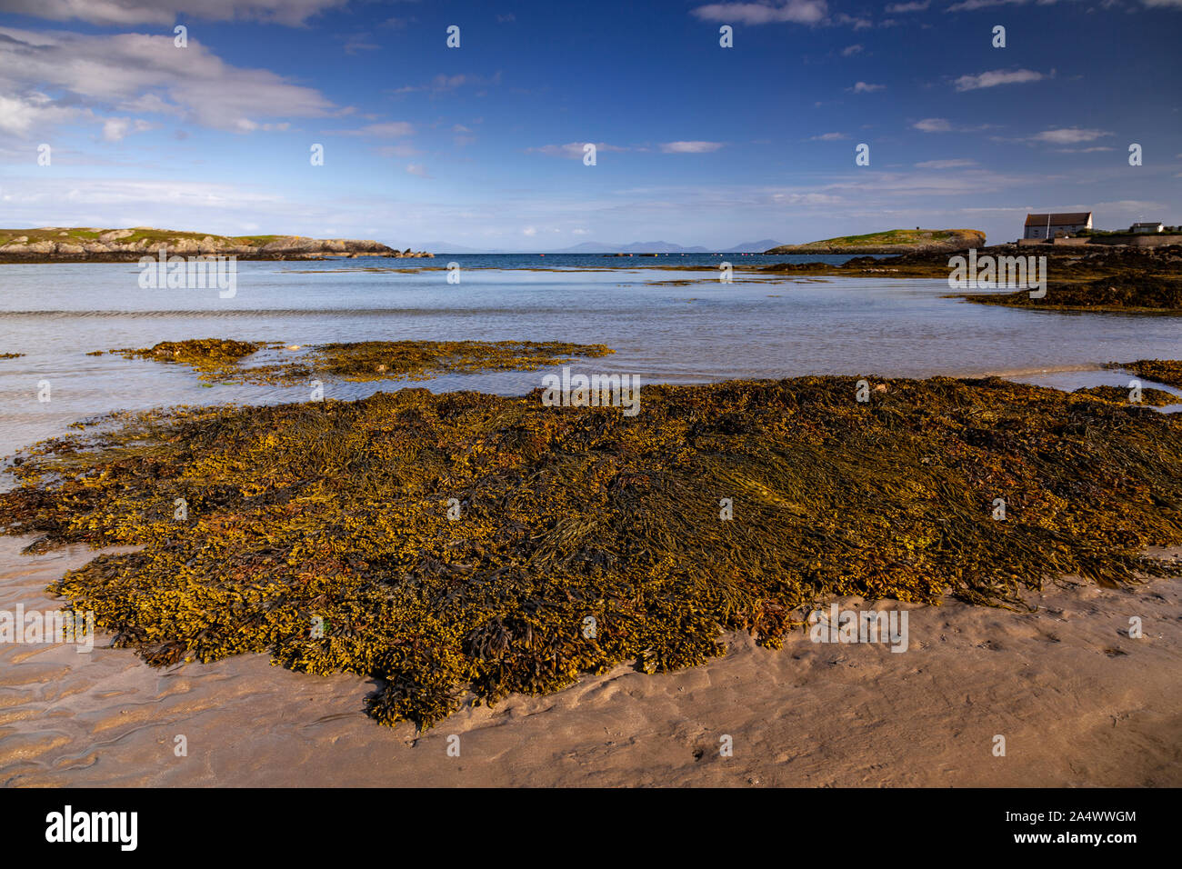 Rhoscolyn beach at low tide, Anglesey, North Wales on a sunny day Stock Photo
