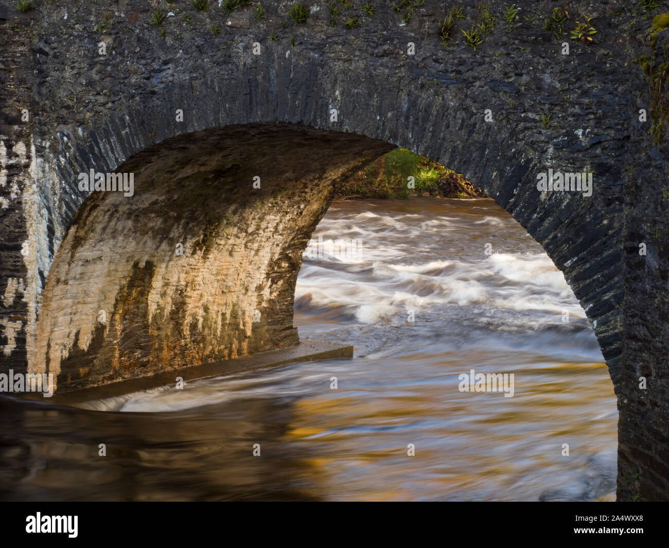 Old stone bridge over Avonmore River, near Rathdrum, County Wicklow, Ireland. Stock Photo