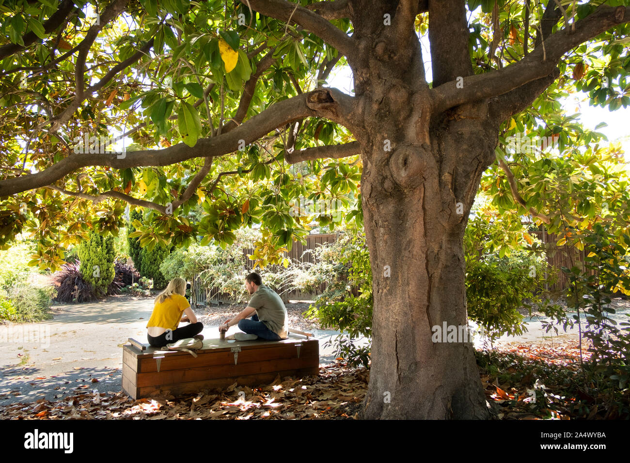 The Gardens at Lake Merritt, Oakland, California, USA Stock Photo Alamy