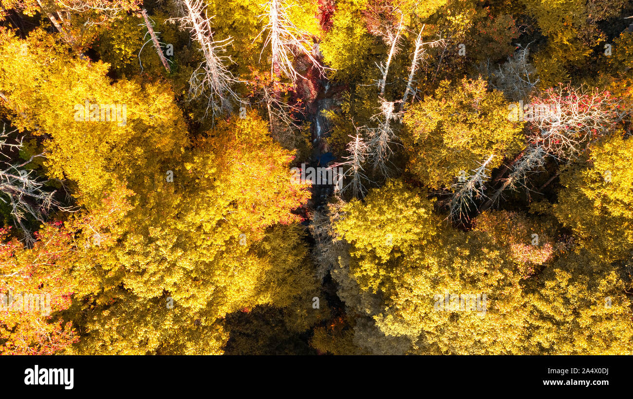 Fall colors top view hi-res stock photography and images - Alamy