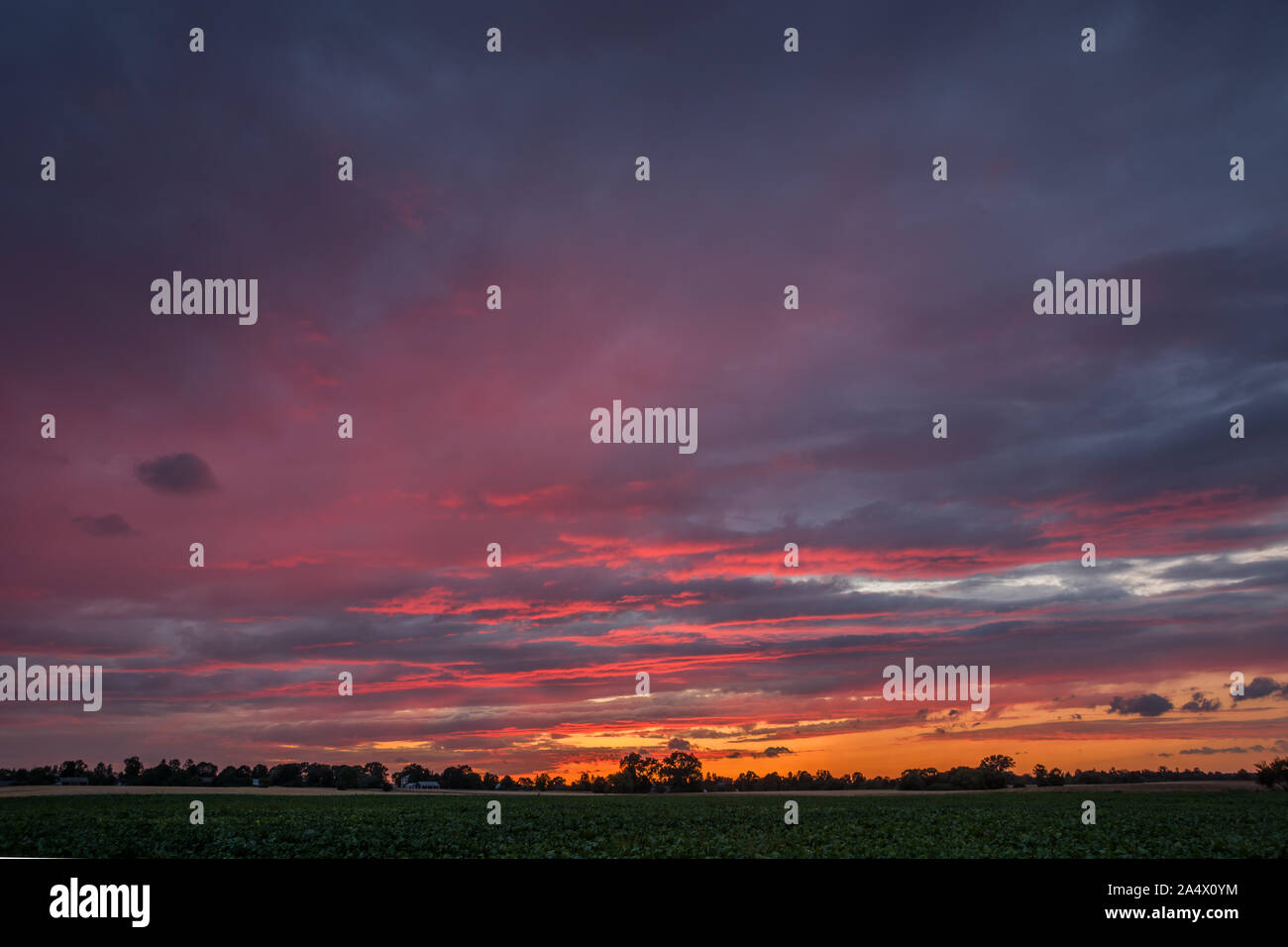 Dark pink clouds after sunset over the horizon in Nowiny, Poland Stock Photo