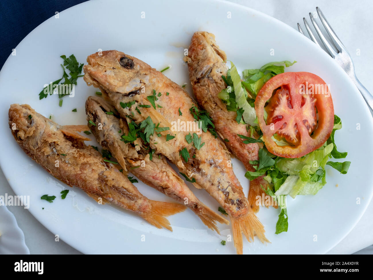 Grilled Red Mullet on a plate at the Kanalli Seafood Tavern, Pomos, Cyprus. Stock Photo