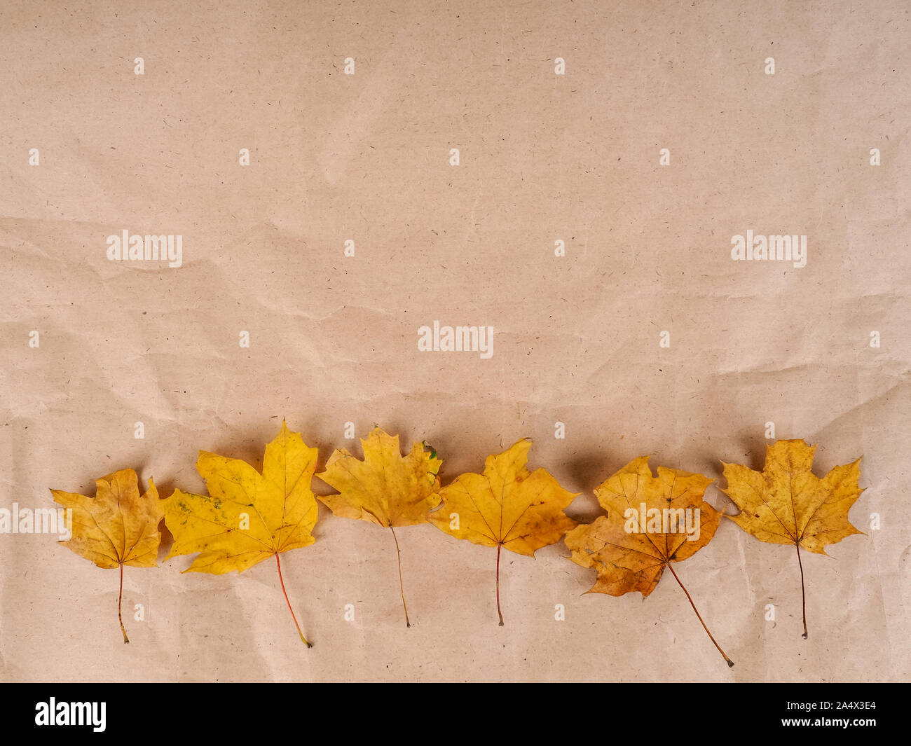background of gold colored leaves autumn concept. Stock Photo