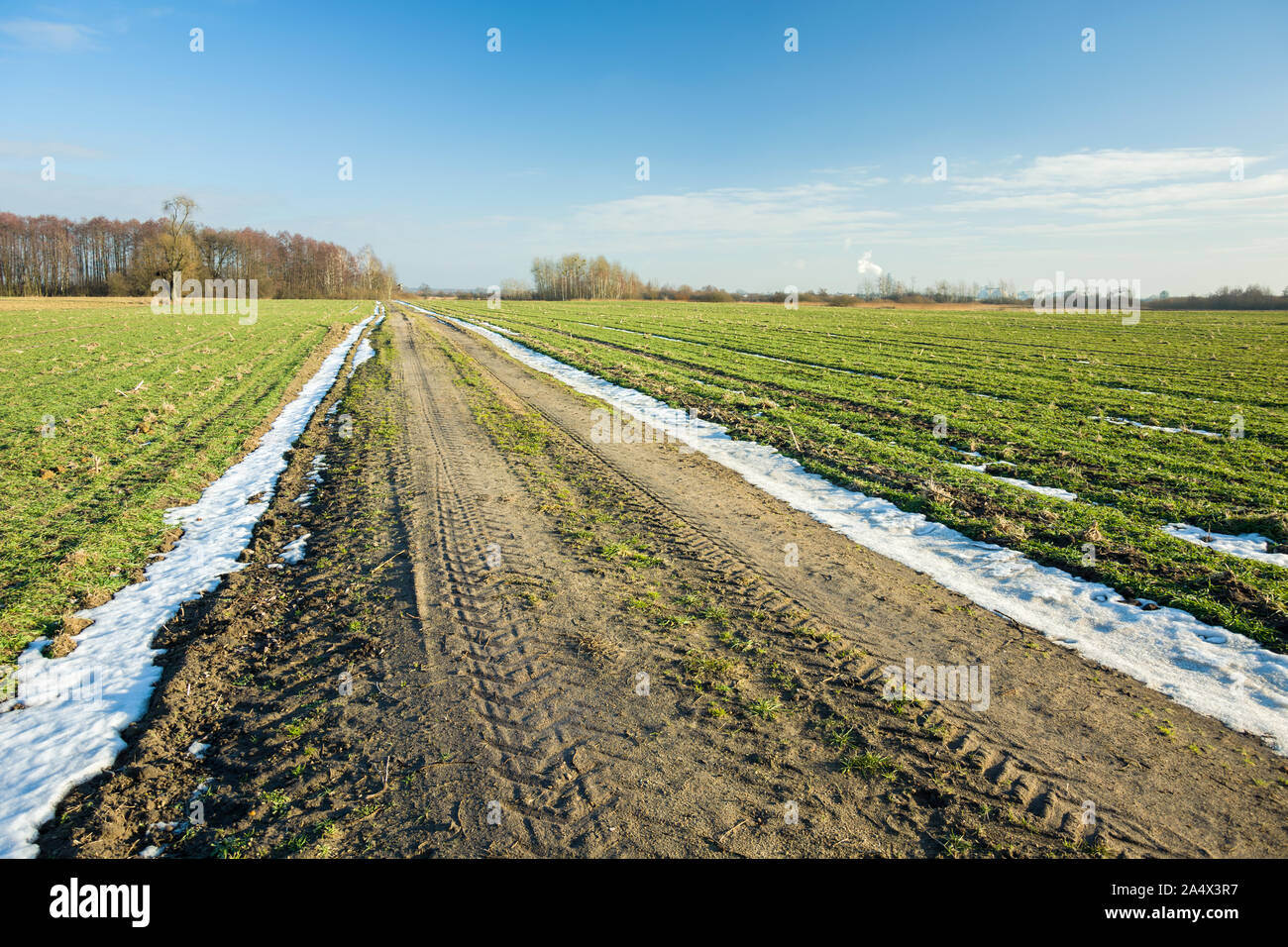 Snow on the side of a dirt road, green fields, blue sky Stock Photo